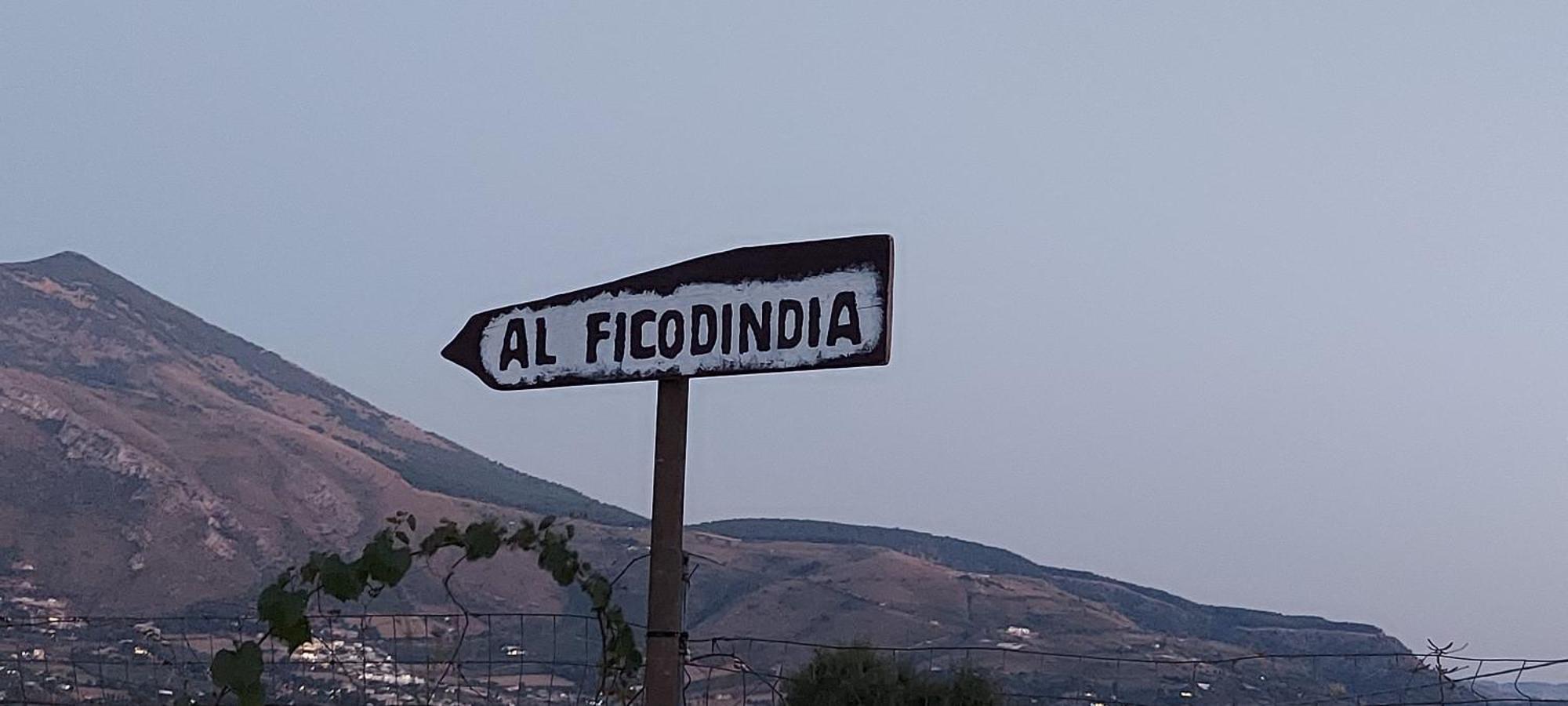 Holiday home Al Ficodindia *