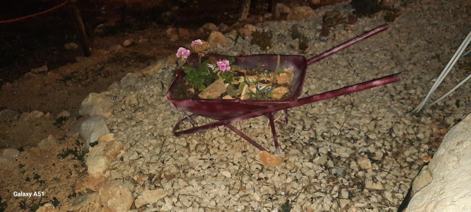 Al Ficodindia * Scopello (Sicily)