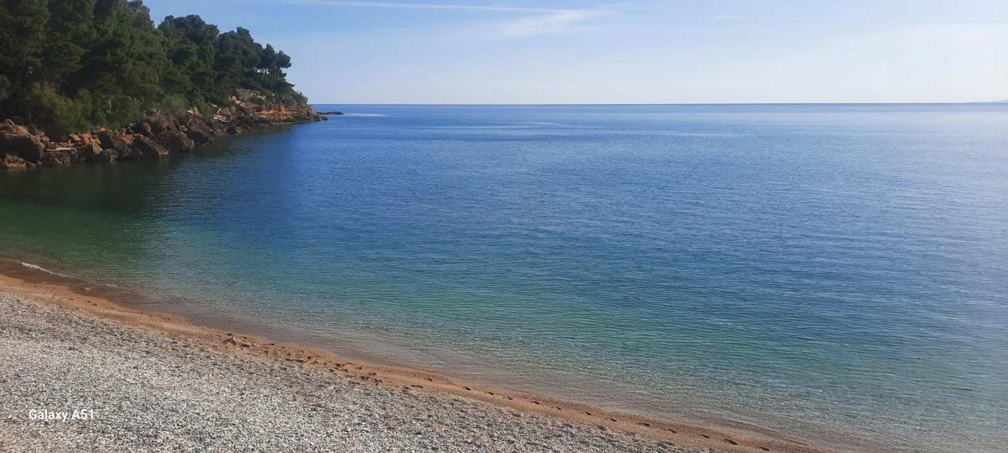 Al Ficodindia Casa vacanze *