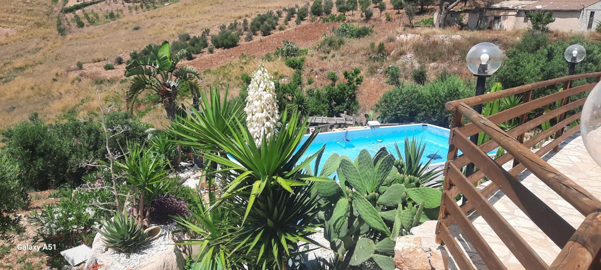 Casa vacanze Al Ficodindia *